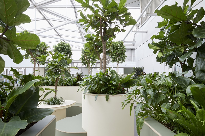 Indoor garden opens at Chelsea and Westminster Hospital