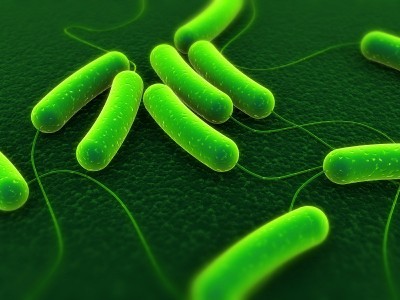 Infection control: New best practice guide will bolster fight against healthcare associated infections