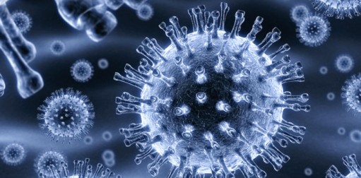 Infection control: Scientists reveal plan to use ‘friendly’ bacteria to finally rid hospital wards of bugs