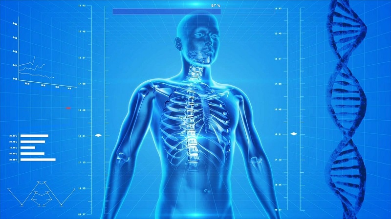 Integrated Care Systems - One year on