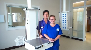 Intensive care in a calming new environment
