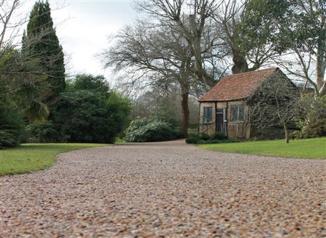 Introducing Terrabase Rustic