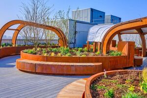 King’s College Hospital opens UK’s first outdoor critical care rooftop garden