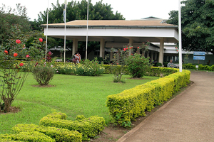Life, lions and laparoscopic surgery