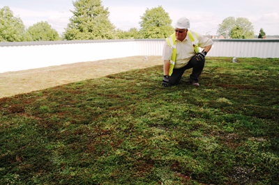 Living roof us centerpiece of Stone Castle Centre