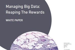 Managing ‘Big Data’ in healthcare