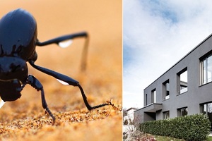 New additions extend range of Sto’s intelligent façade paints
