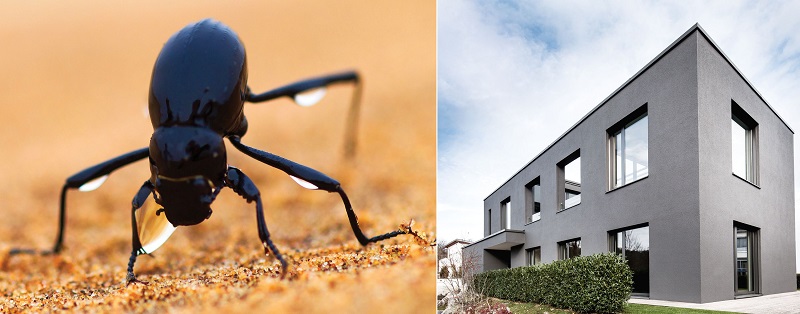 New additions extend range of Sto’s intelligent façade paints

