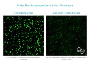 New time-lapse imaging shows superbug killed in two hours
