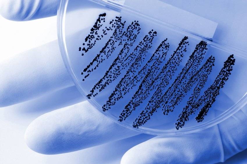 New weapons in the battle against superbugs

