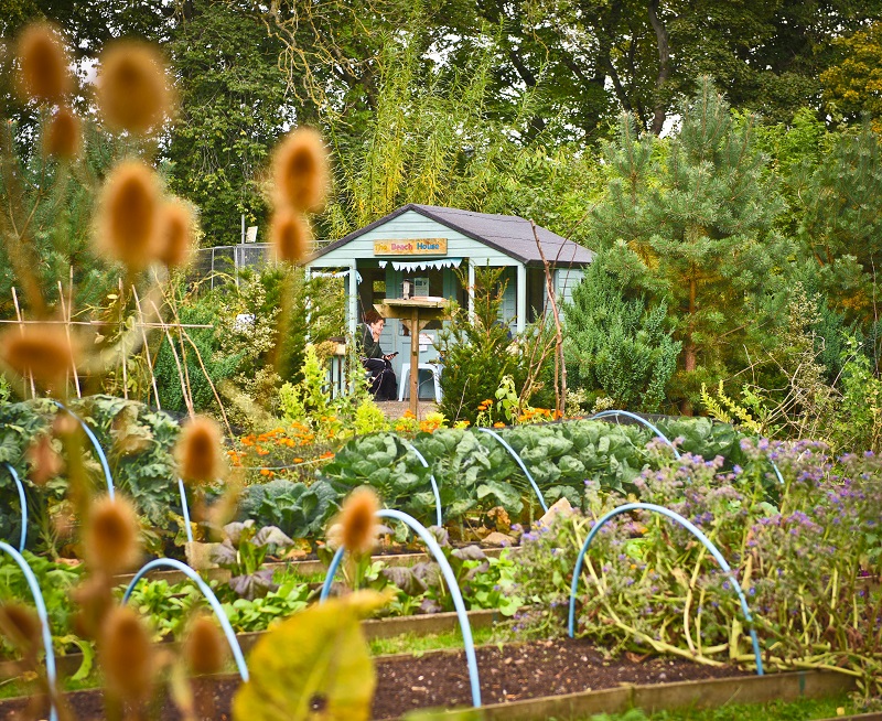 NHS Lothian publishes ground-breaking biodiversity audit