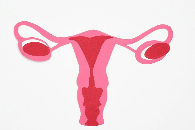 NHSPS partners with MSI Reproductive Choices to bring reproductive services to Oxfordshire