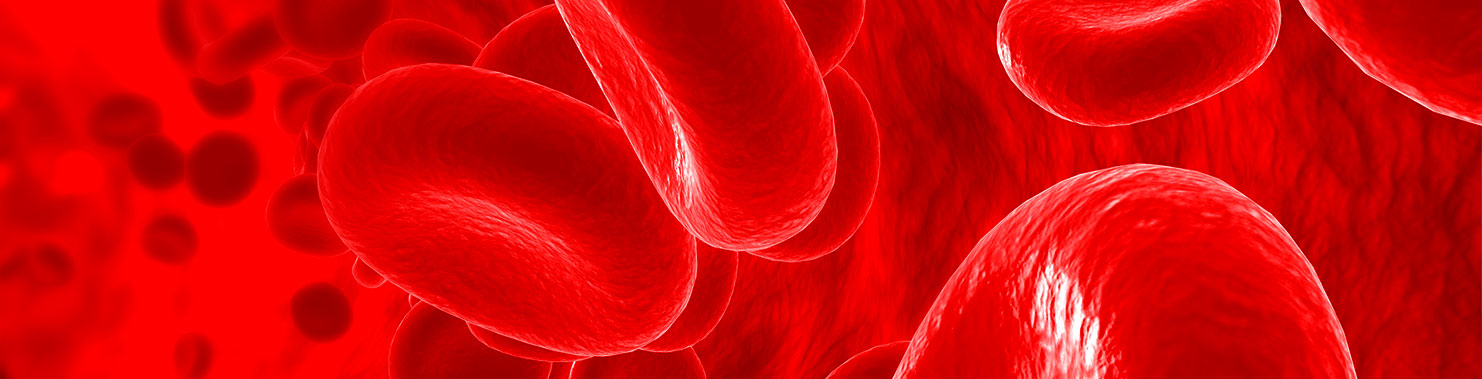 Nottingham company makes breakthrough with blood recycling device