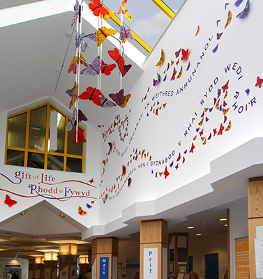 Organ donation memorial artworks for Bangor and Wrexham hospitals in Wales