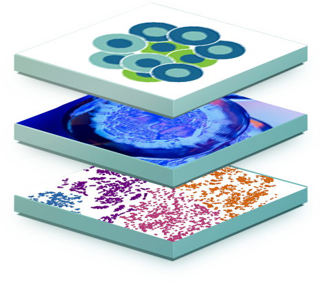 Paradigm4 launches REVEAL Single Cell app for analysing large-scale data sets