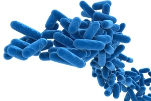 Patient at Gloucestershire Royal Hospital treated for Legionnaires' Disease