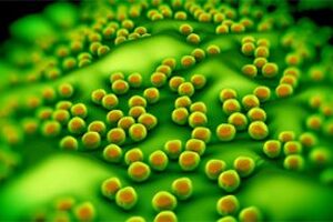 Portable technology to fight antimicrobial resistance