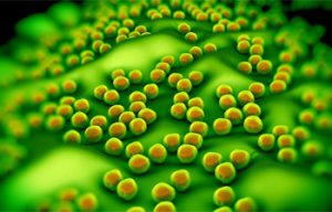 Portable technology to fight antimicrobial resistance