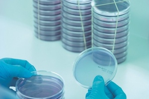 Quality assurance in NHS hospital pharmacies supported by Cherwell
