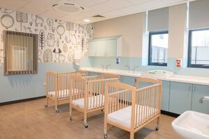 Read Construction delivers mother-and-baby mental health unit