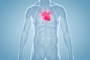 Research suggests doctors can’t dismiss even the most minor forms of heart disease