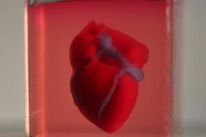 Researchers successfully print world's-first 3D heart from human tissue