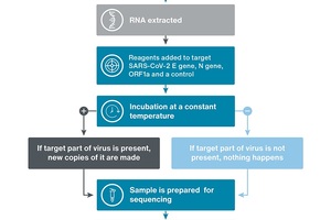 Rollout of two new rapid coronavirus tests ahead of winter