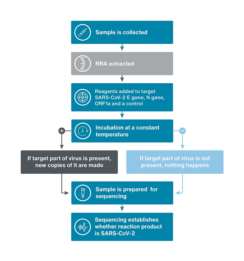 LamPORE is a simple and fast process comprising of amplification, library preparation and sequencing steps to identify whether the SARS-CoV-2 virus is present in a sample