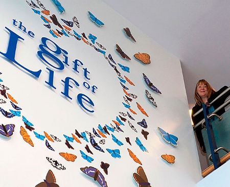 Royal Berkshire Hospital organ donation artwork symbolises the ‘gift of life’
