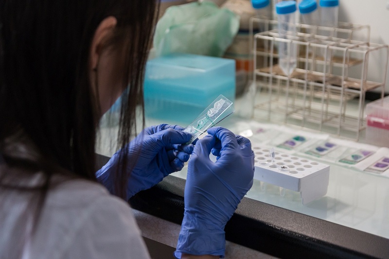 Seven new community diagnostic centres to open across England 