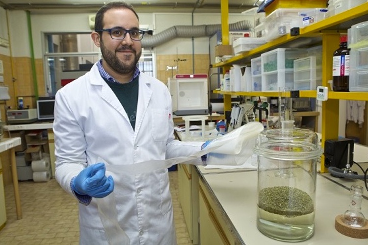 Spanish research group to develop antimicrobial adhesive films