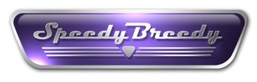 Speedy Breedy: Rapid, Sensitive and Simple Microbial Detection