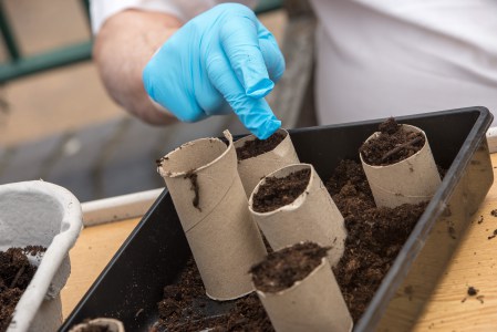 Stroke garden opens at Nottingham hospital