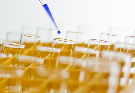 Synexus announces clinical trial partnership with Northumbria Healthcare