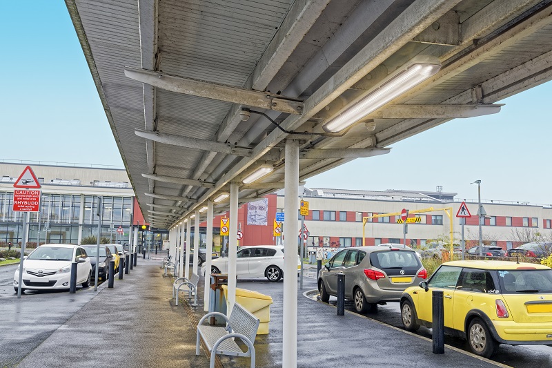 The race to net zero