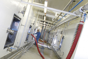 Torsan paints protect against bacteria and mould