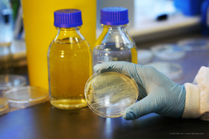 Two firms join forces to create Europe’s first antimicrobial nitrile examination gloves