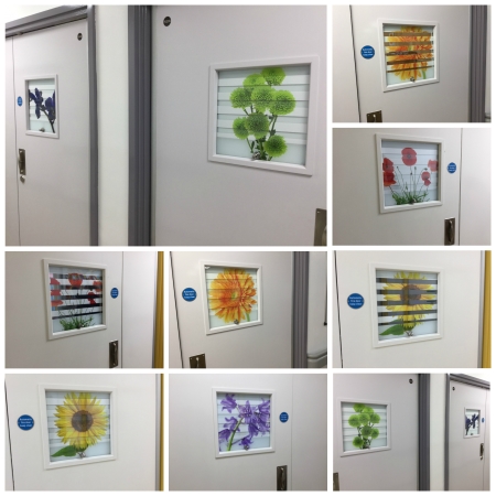 Vision panels make an impression