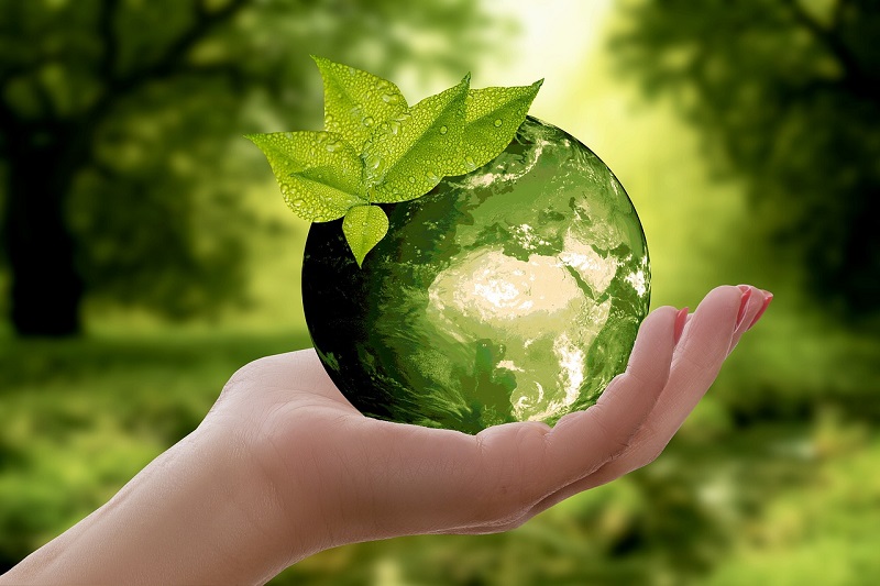 Waste management procurement solution helps NHS achieve net zero