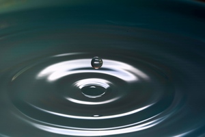 Water Safety Forum explores challenges and opportunities for sustainable water use in NHS