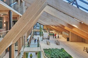 Why does wood belong in modern healthcare environments?
