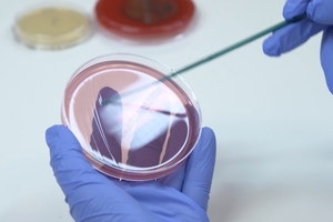 World’s first non-leaching antimicrobial examination gloves launched